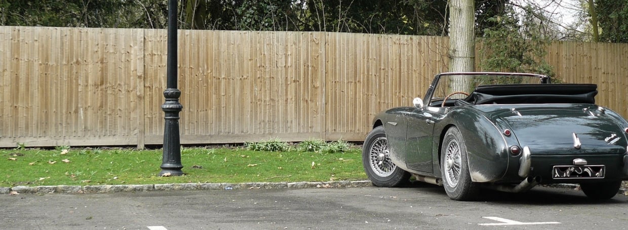 Austin Healey